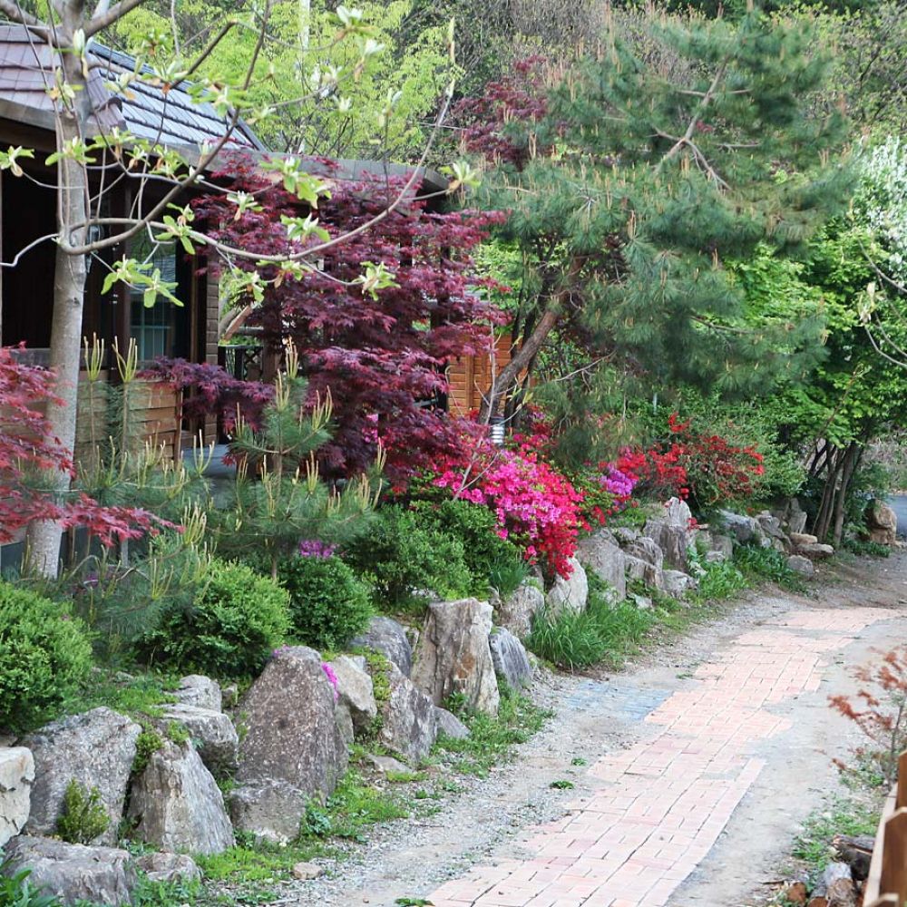 주변전경