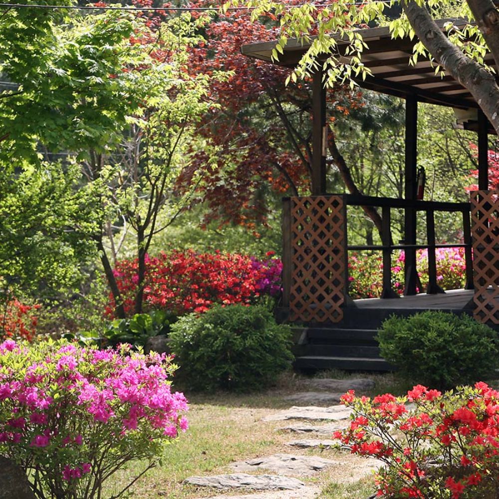 주변전경