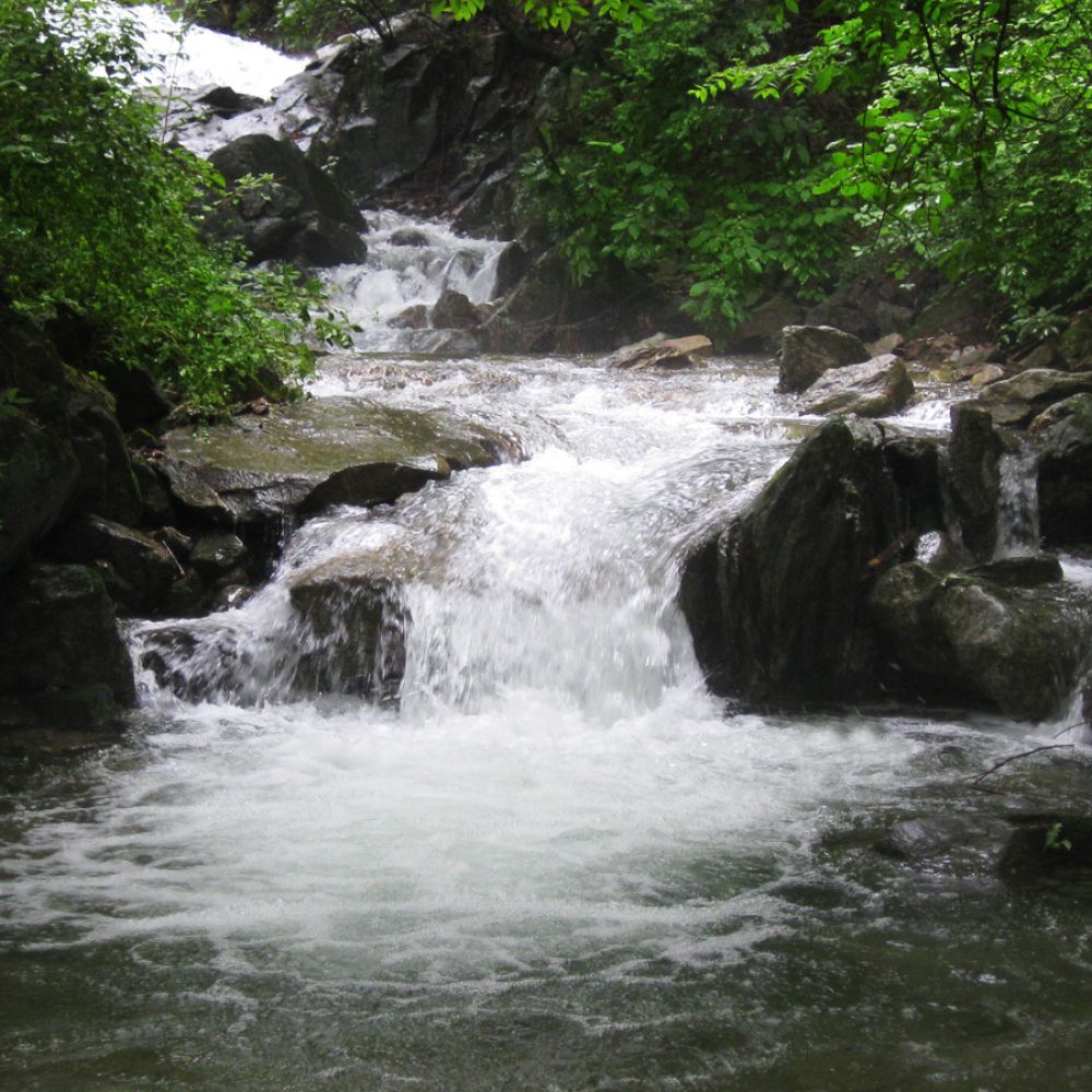 주변전경